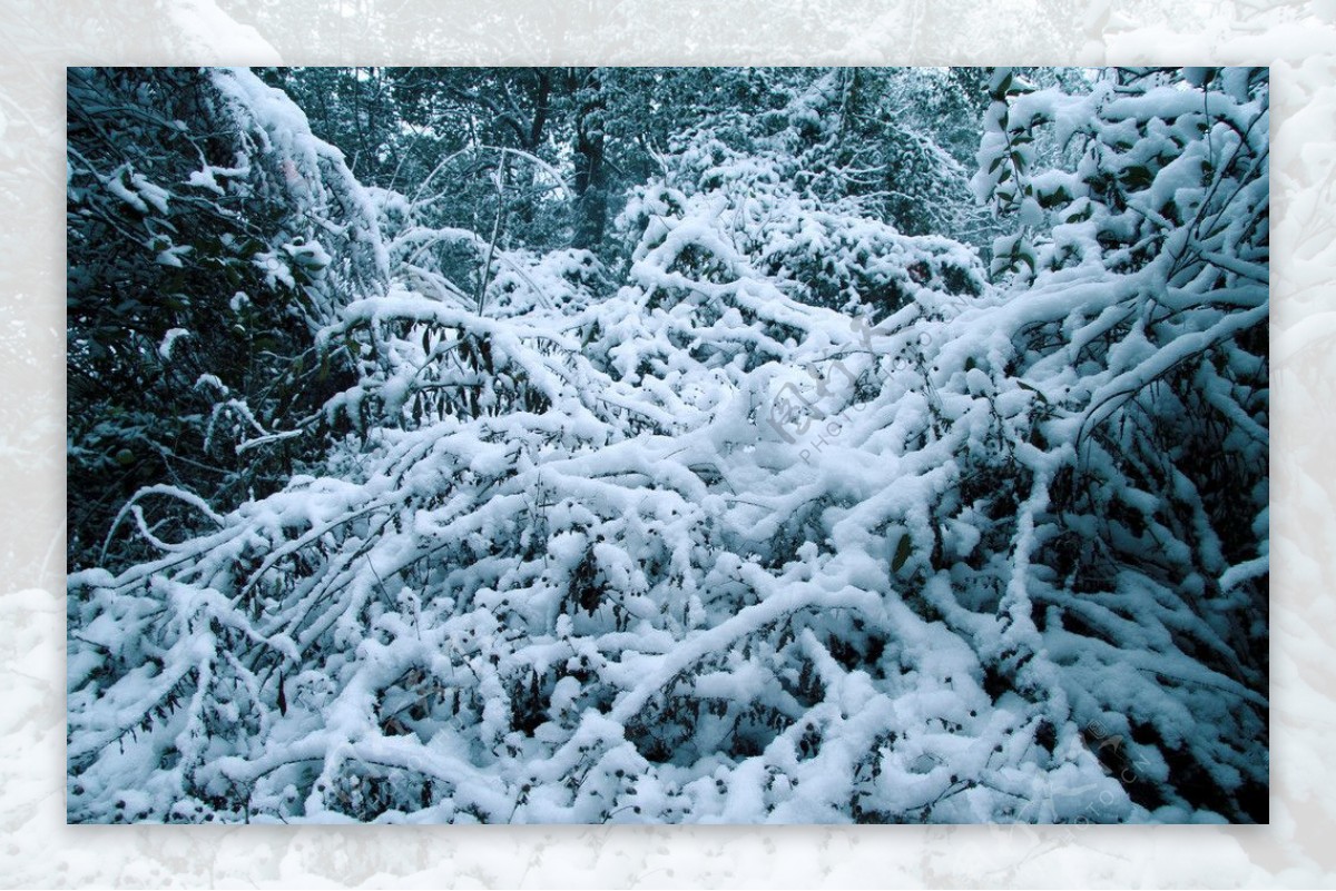 雪景图片