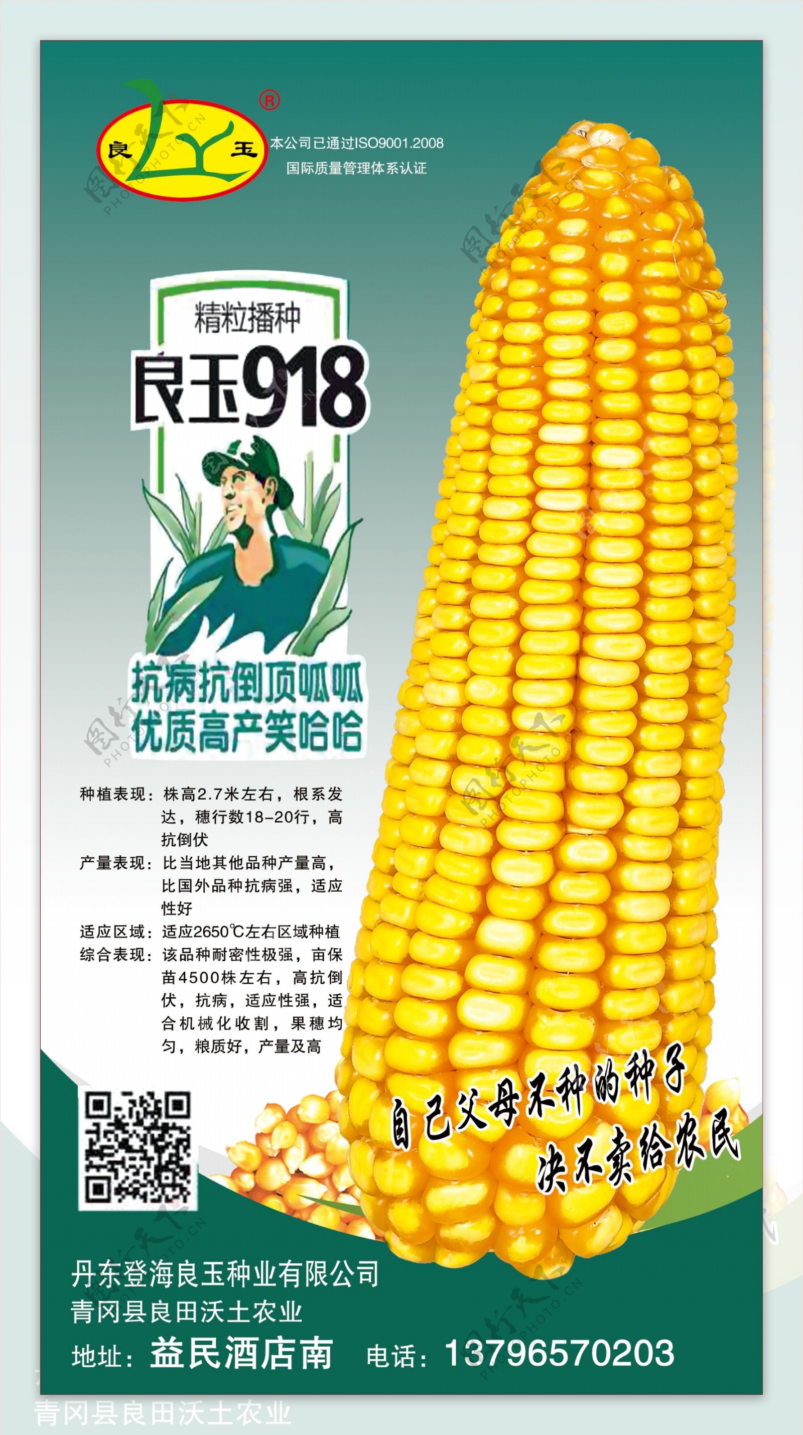 良玉918图片