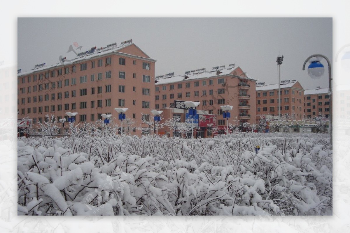 雪景图片