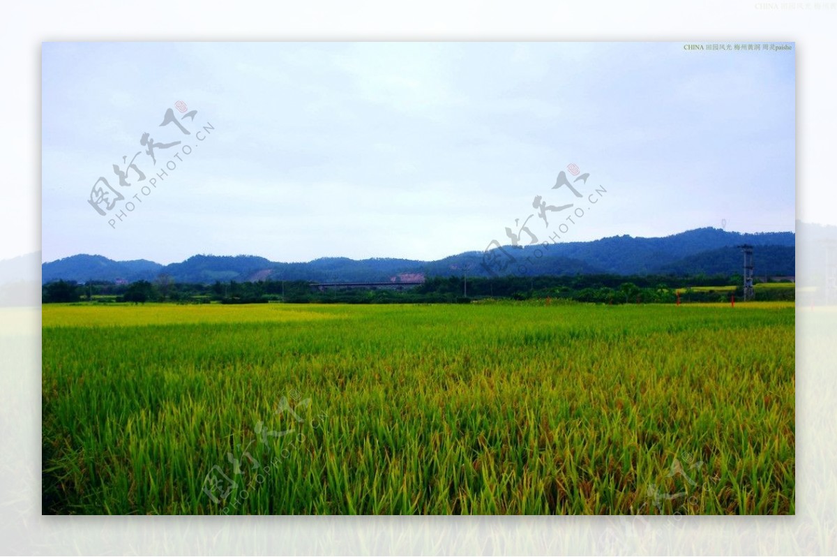 山水风景田园风光图片