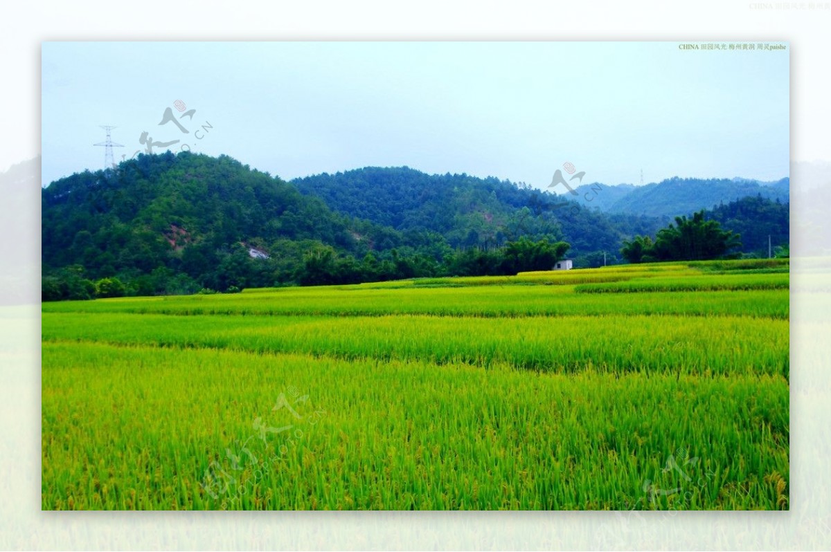 山水风景田园风光图片