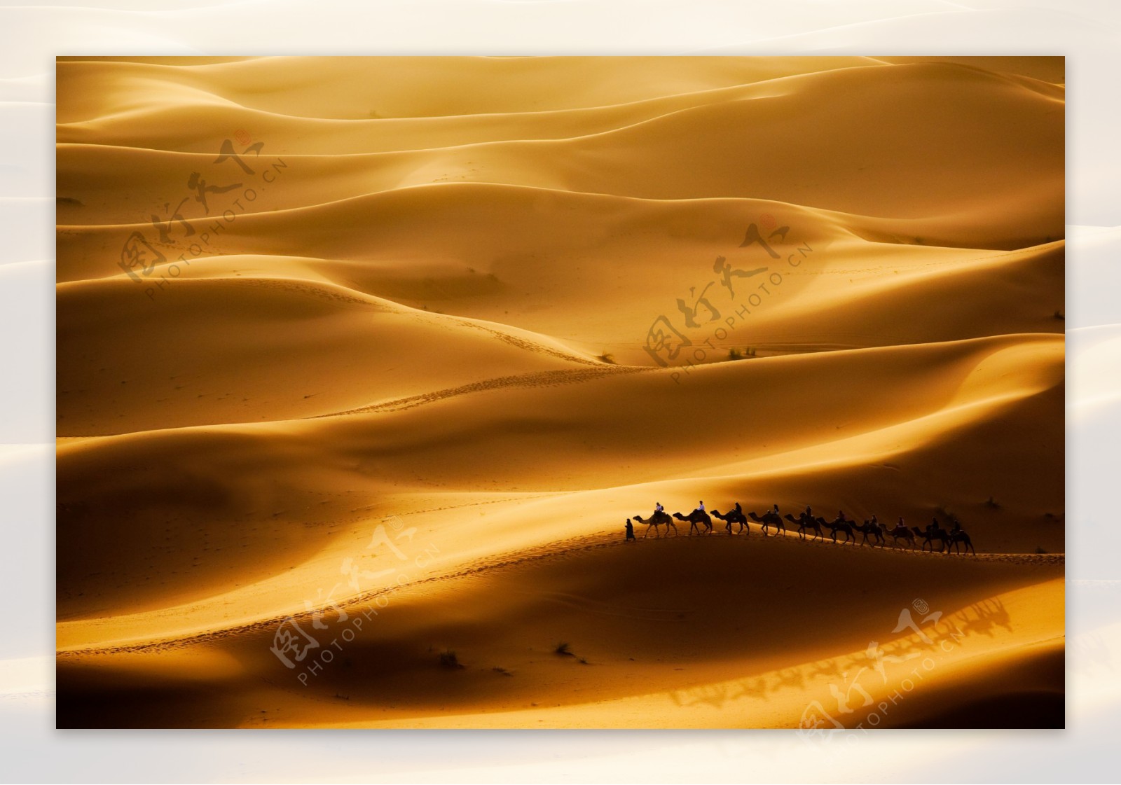 金色沙漠高清图片