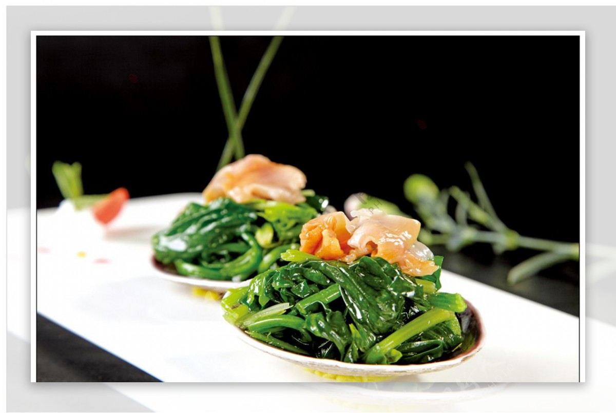 菠菜毛蛤图片