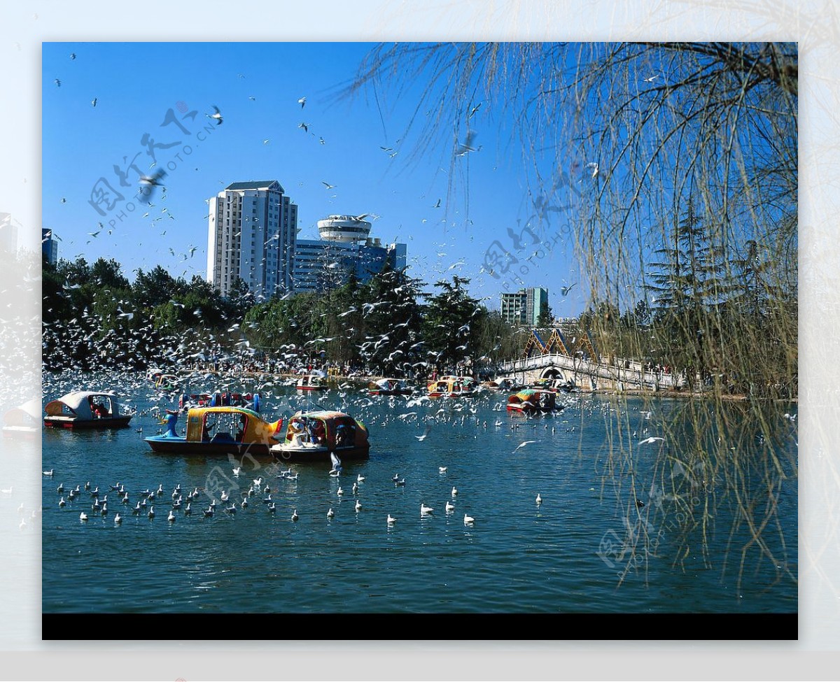 珠海城市风景珠海高楼大厦图片