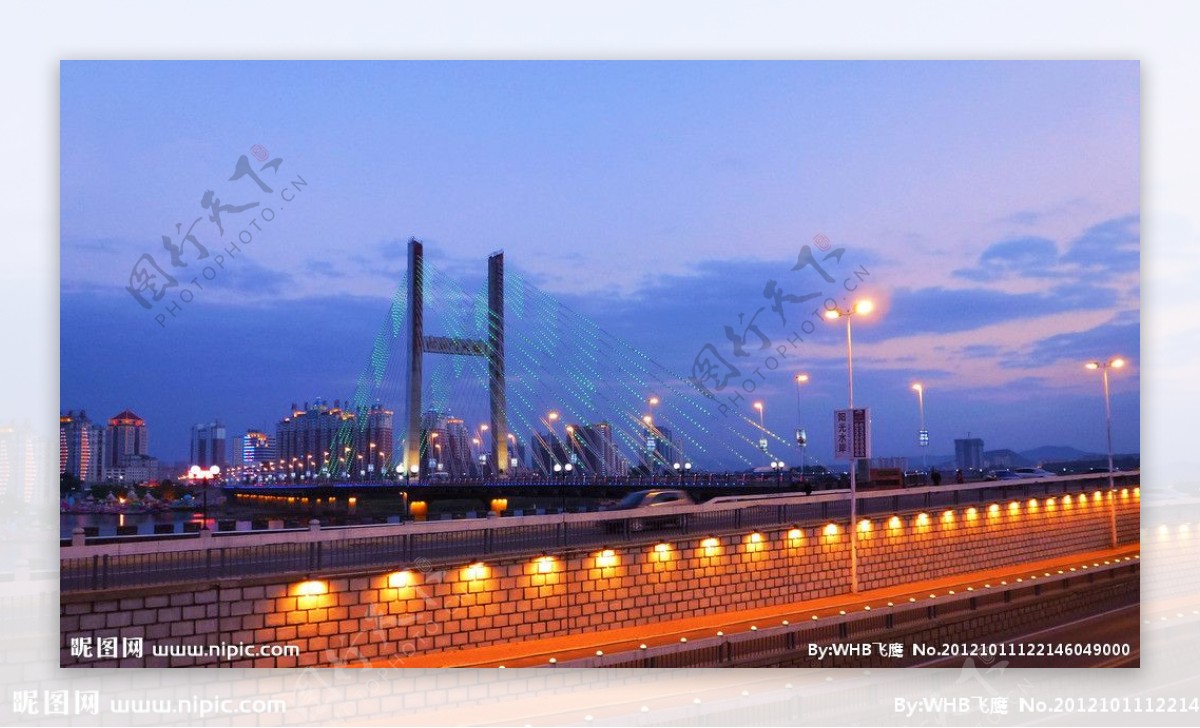临江门大桥夜景非高清图片