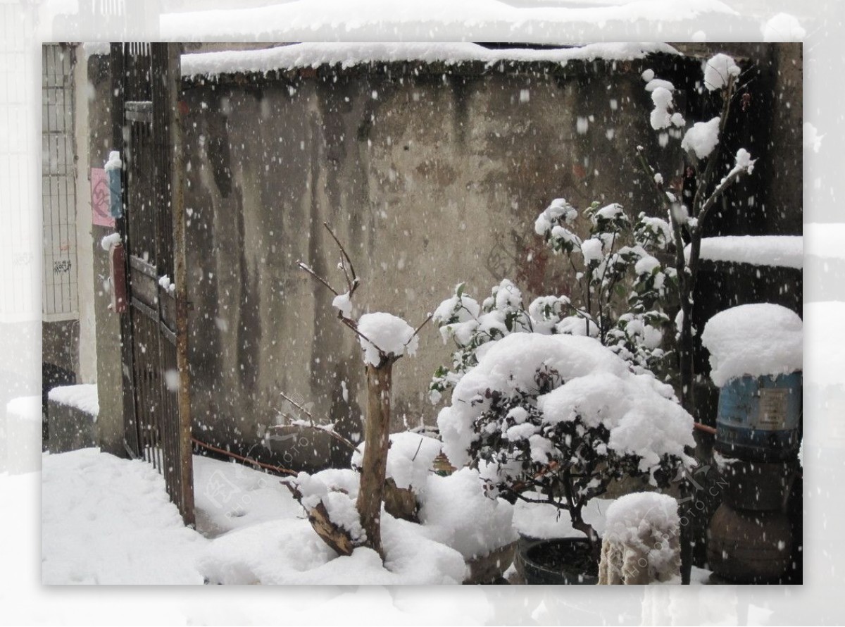 落雪小院图片
