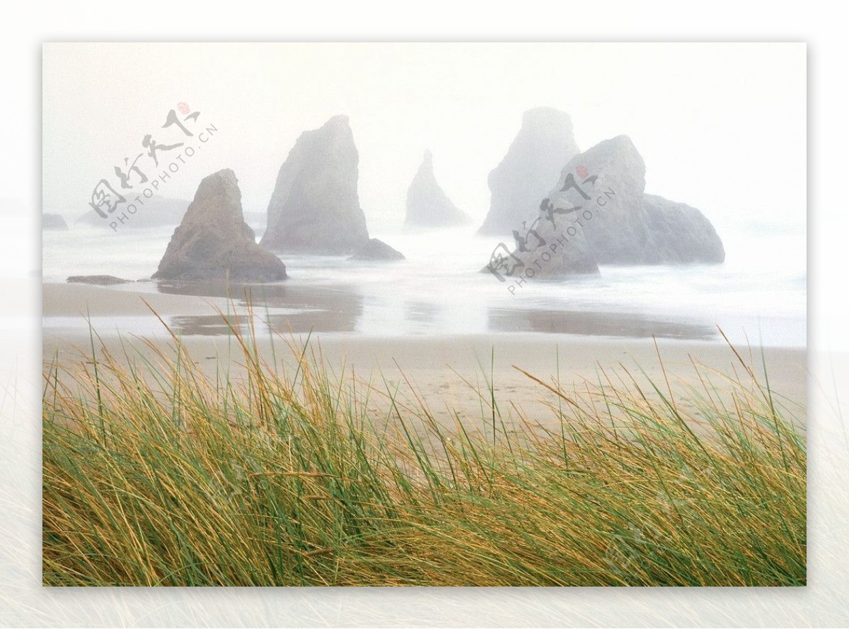 草海边石头图片
