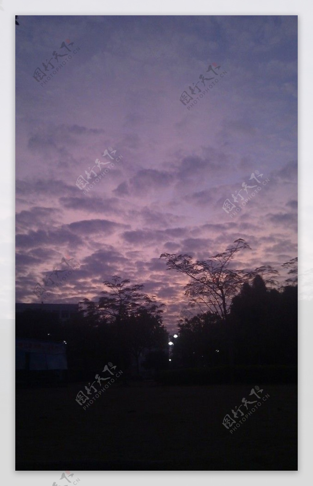 冬季晚霞紫色图片