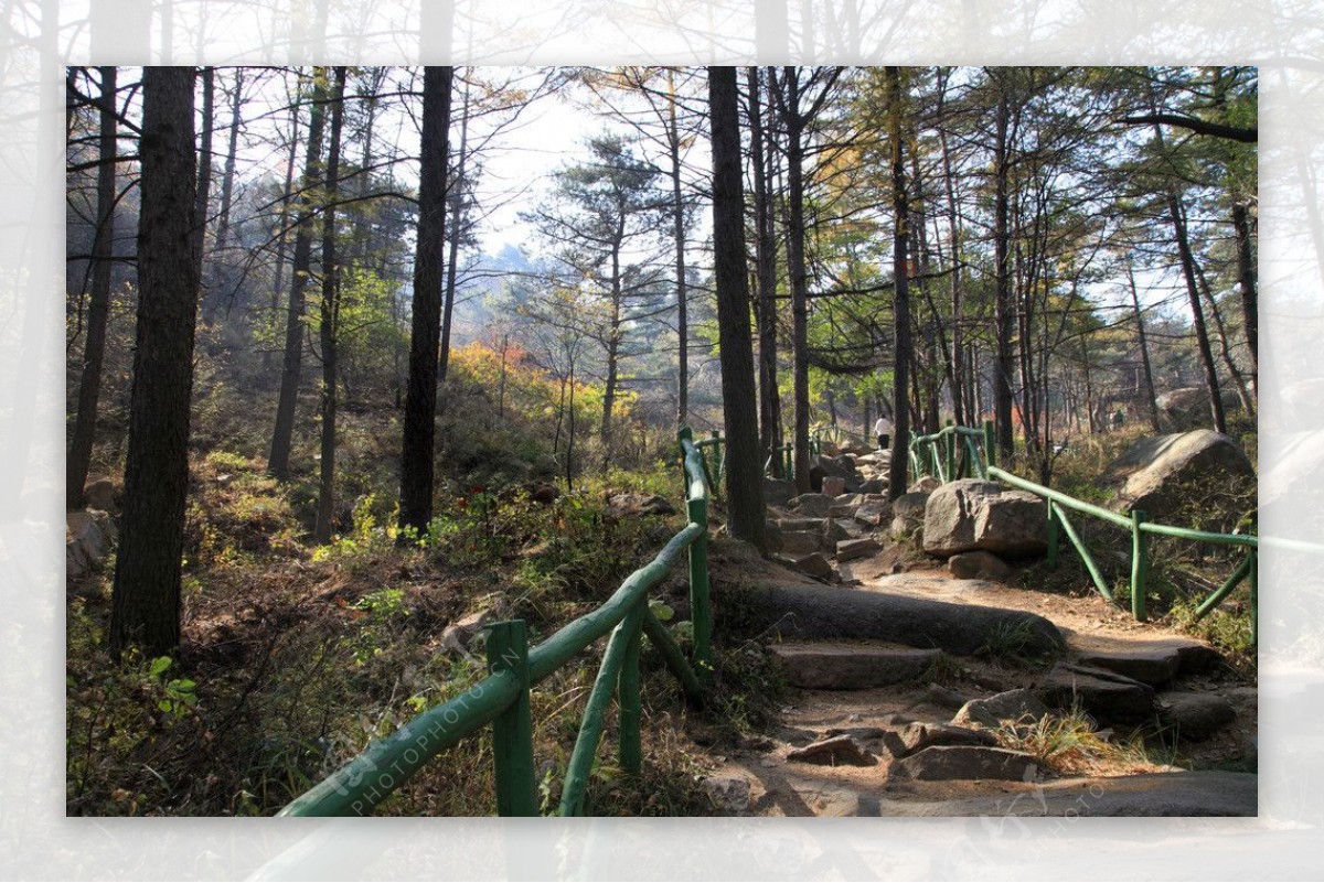 淄博鲁山风光图片