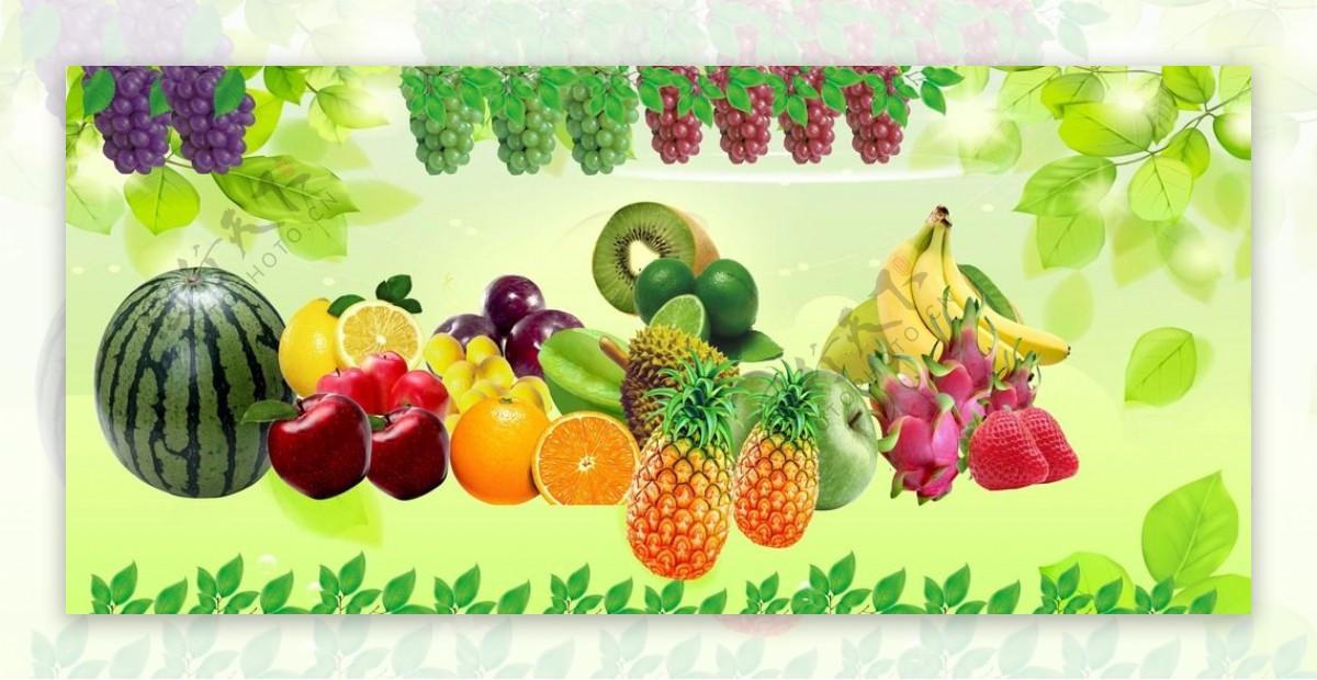 矢量水果分层图图片