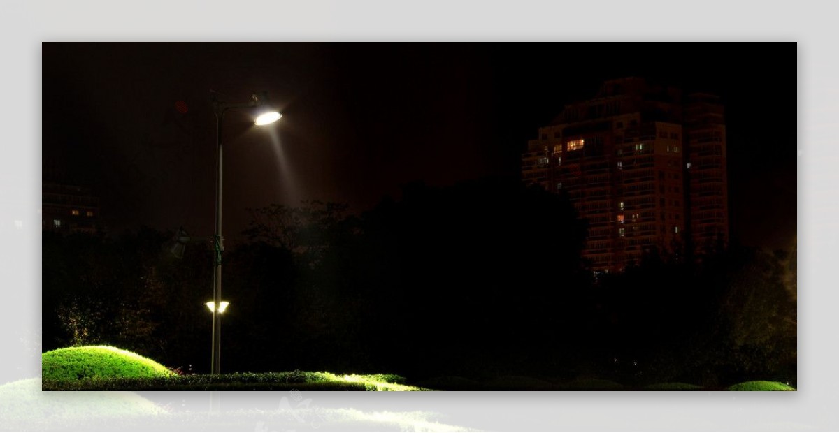 公园路灯夜景图片