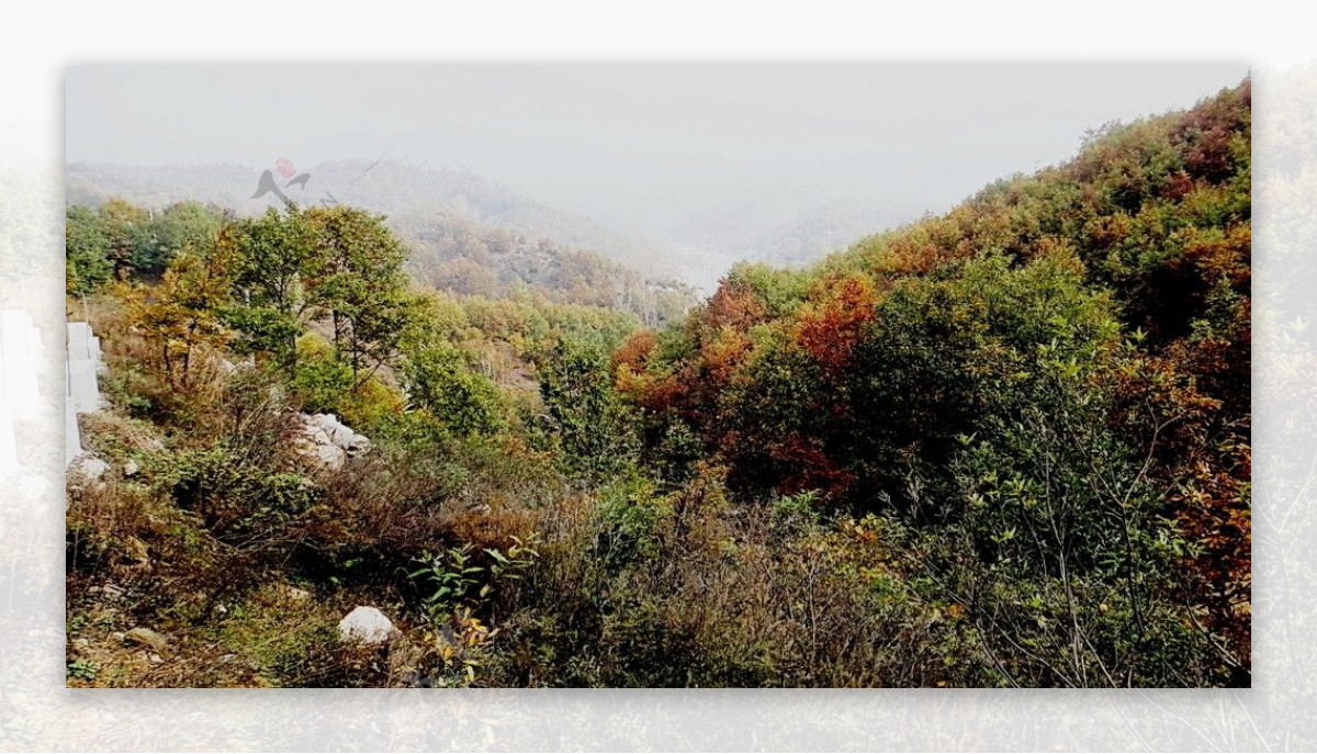 山里的秋天图片