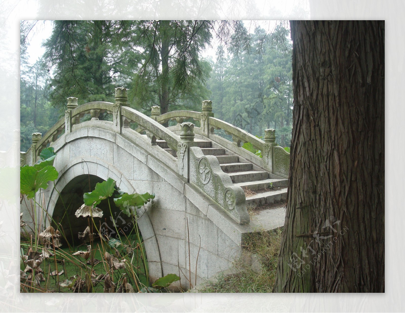 【寻找泉州世遗的中国之最】安平桥：中国现存最长的跨海梁式古石桥_杭州网