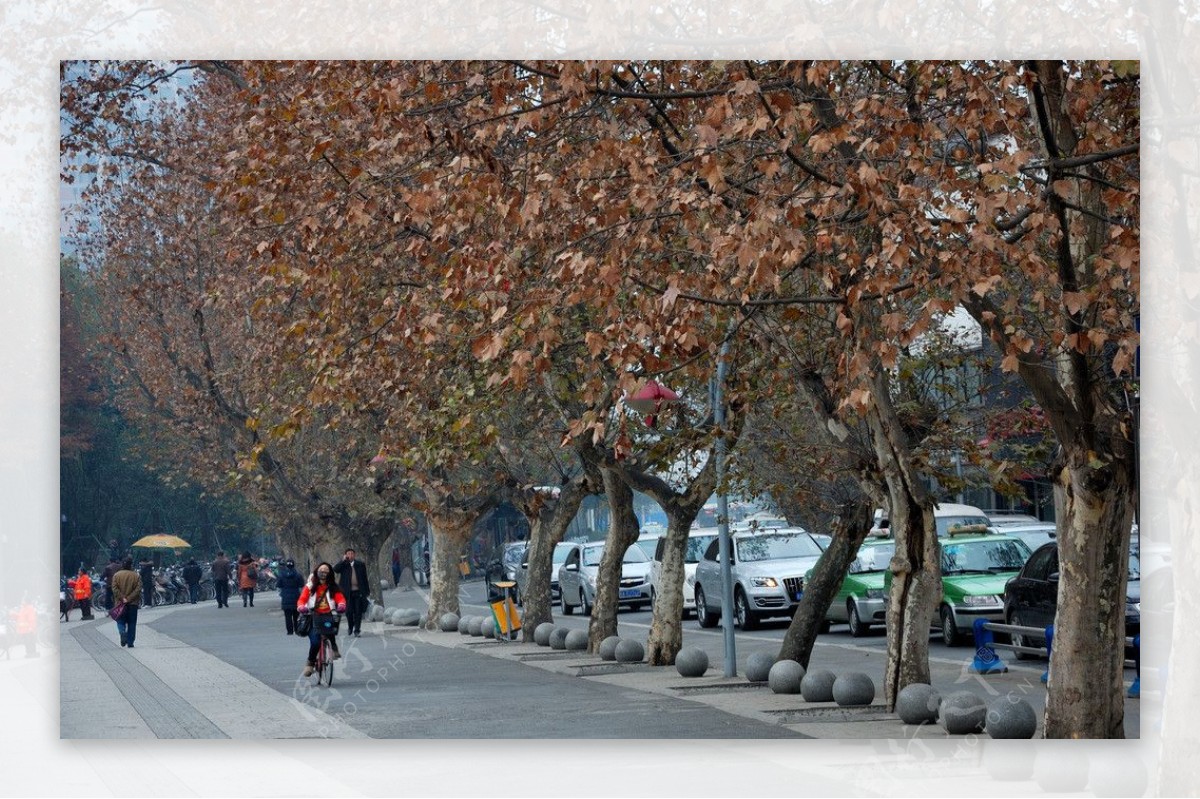 成都人民公园外冬街景图片