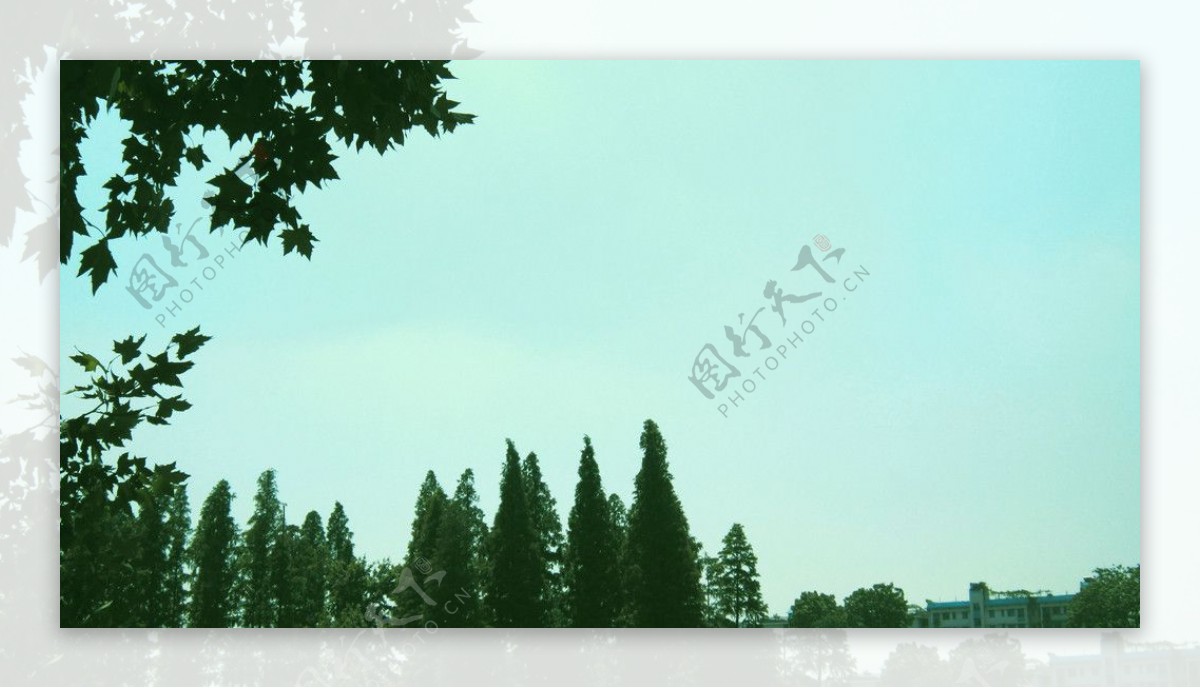 湘潭雨湖公园景色图片