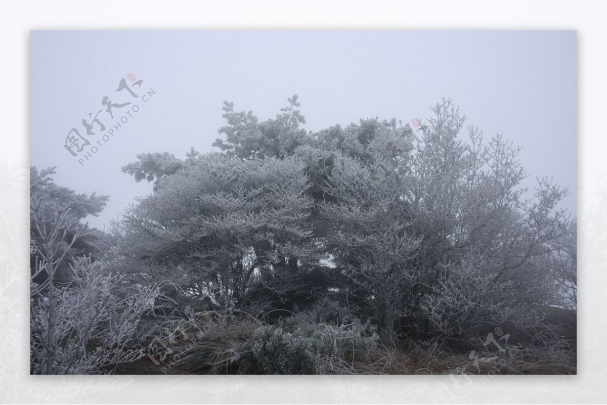 黄山雪景图片