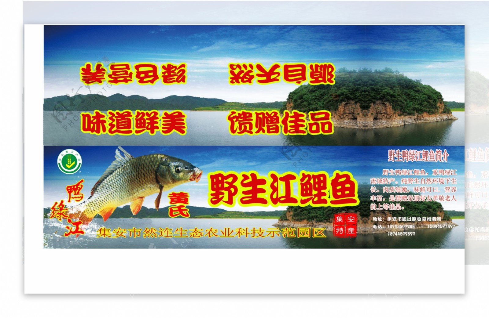 鸭绿江鲤鱼包装箱图片