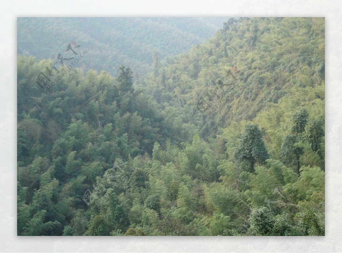 白水仙风景图片