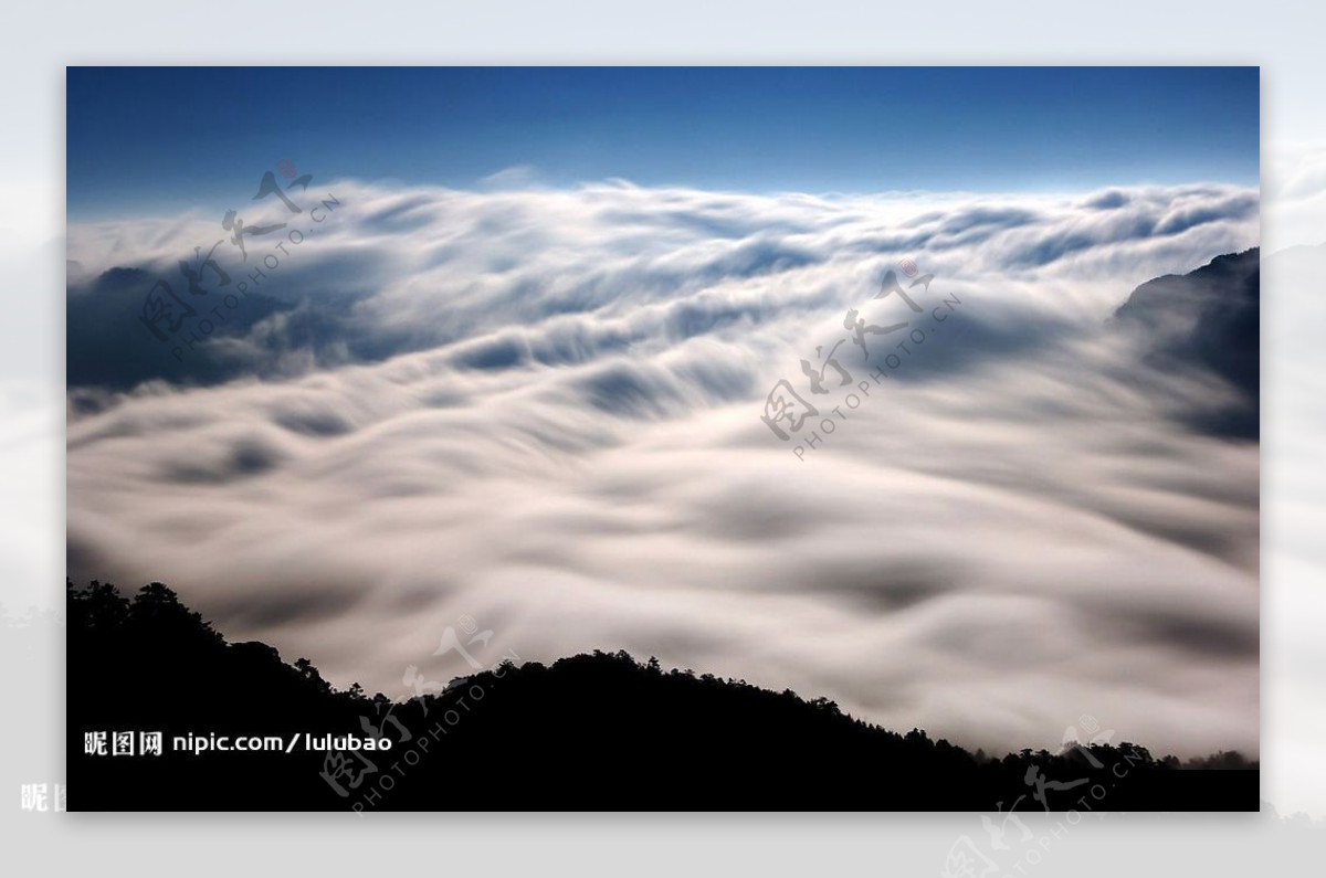 台湾南投合欢山的云雾图片