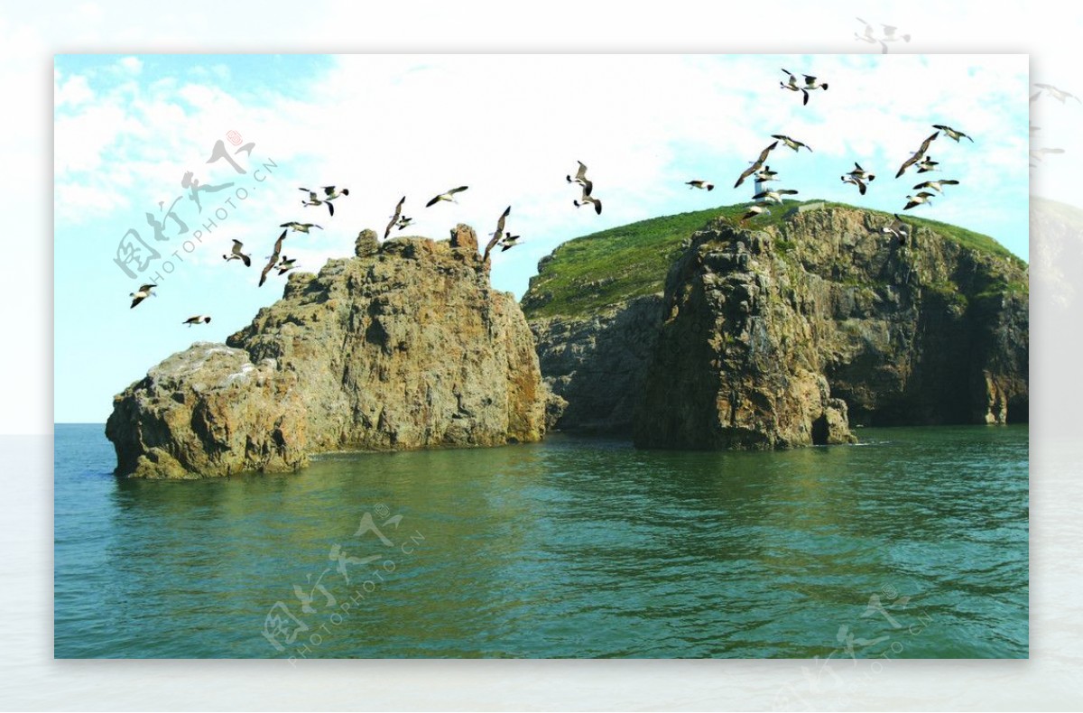 海驴岛概貌图片