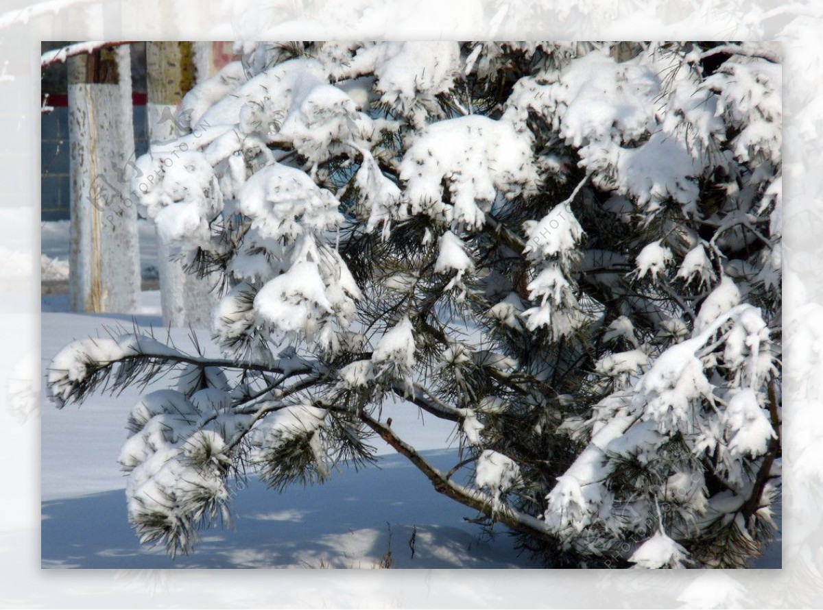 雪景图片