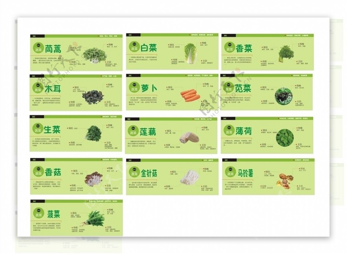 蔬菜卡片图片