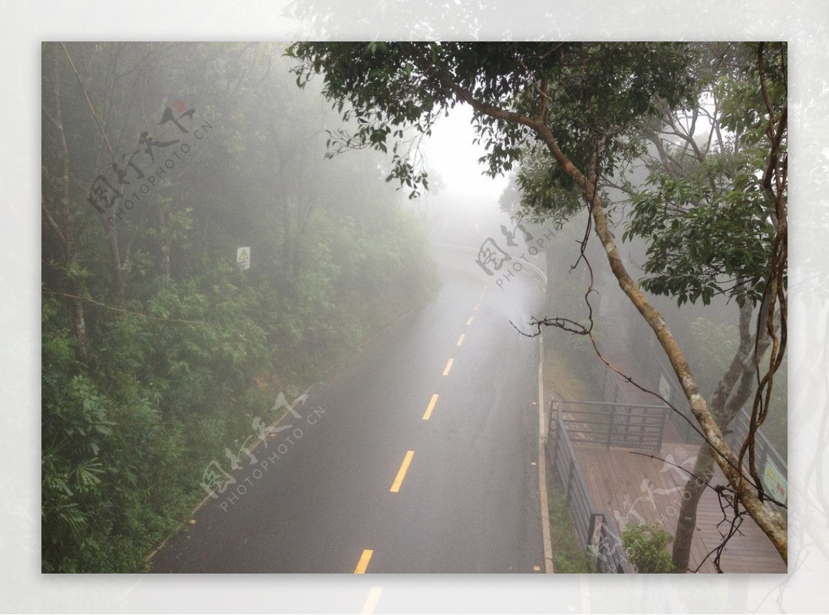 细雨蒙蒙的山道图片