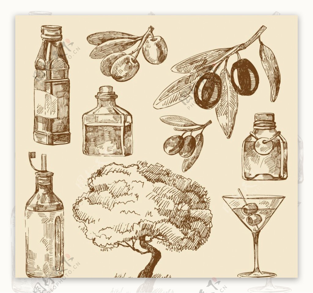 橄榄果泡酒如何制作(橄榄果泡酒的做法) - 美酒邦