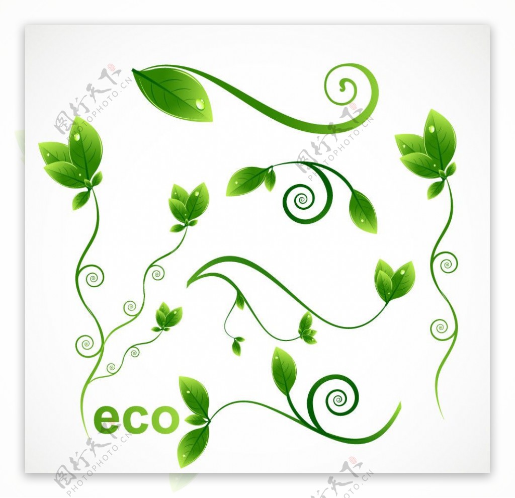 动感绿叶水珠水滴环保素材图片