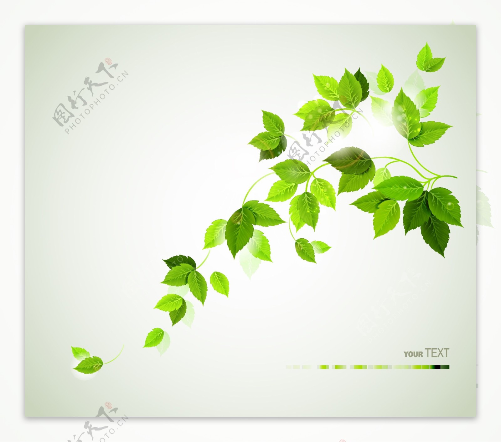 动感绿叶环保背景图片