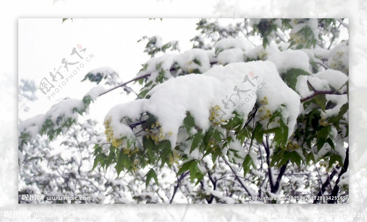 雪景图片