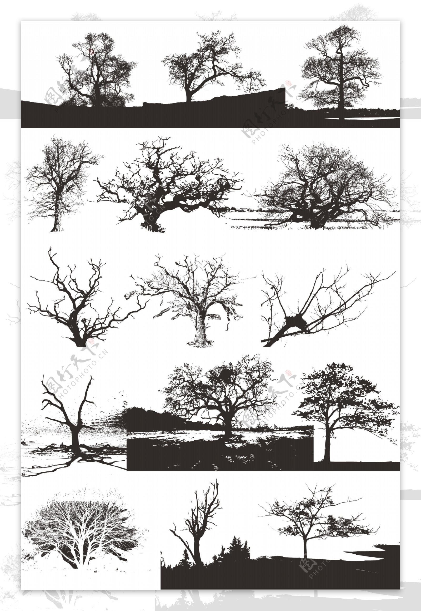 树木剪影图片