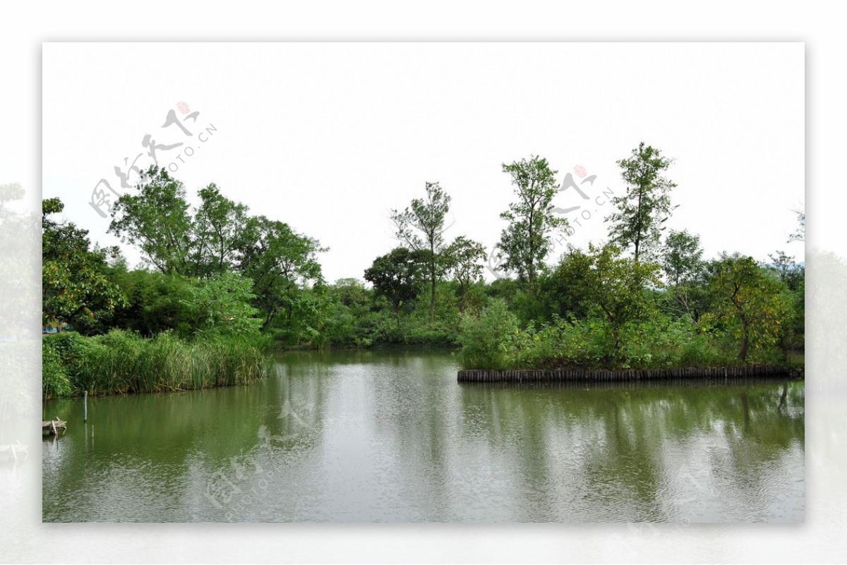 西溪国家湿地公园图片