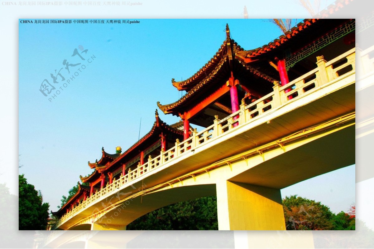 中国龙园龙园桥图片