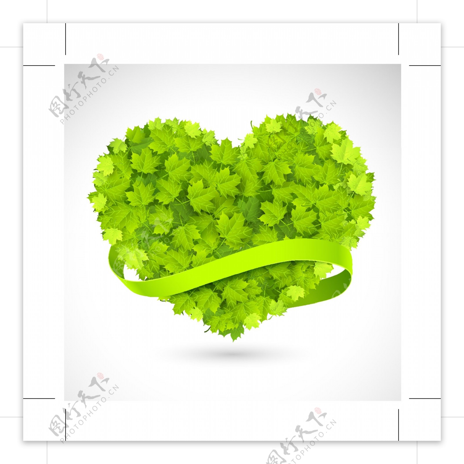 绿色心形植物图片
