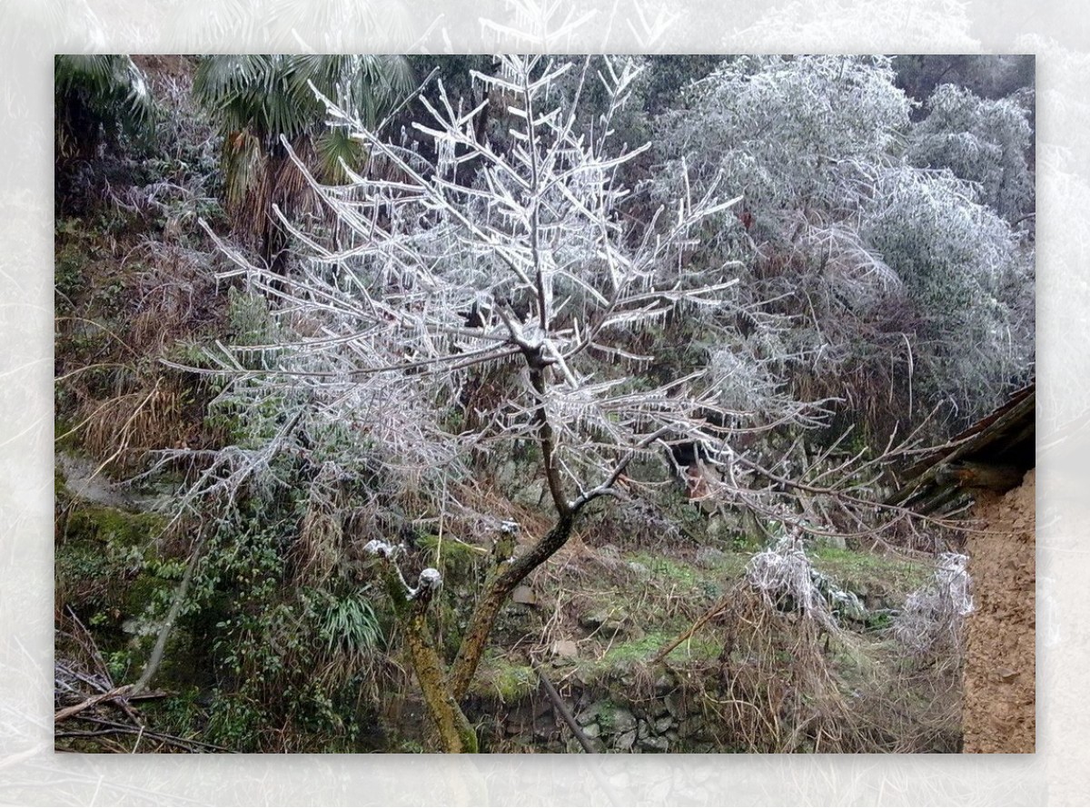 雪景图片