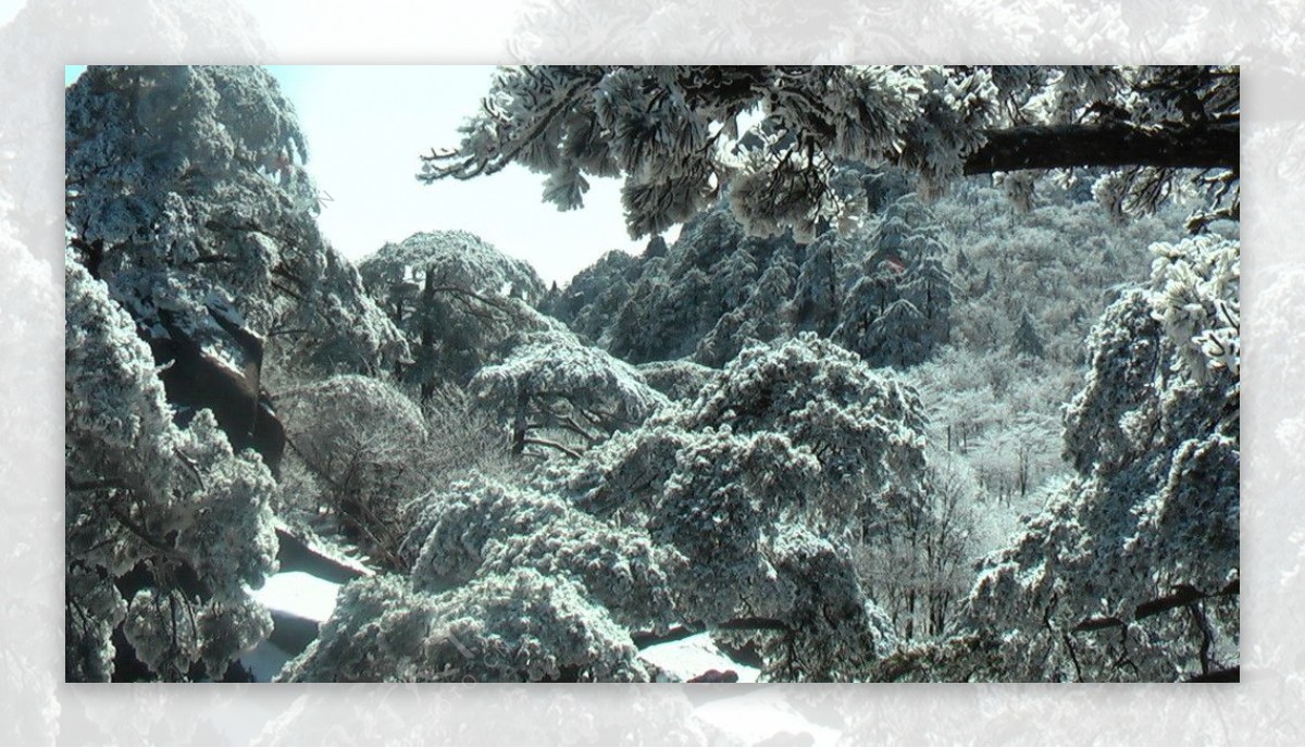 雪景黄山图片