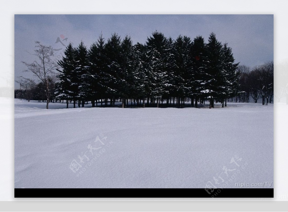 雪景素材图片