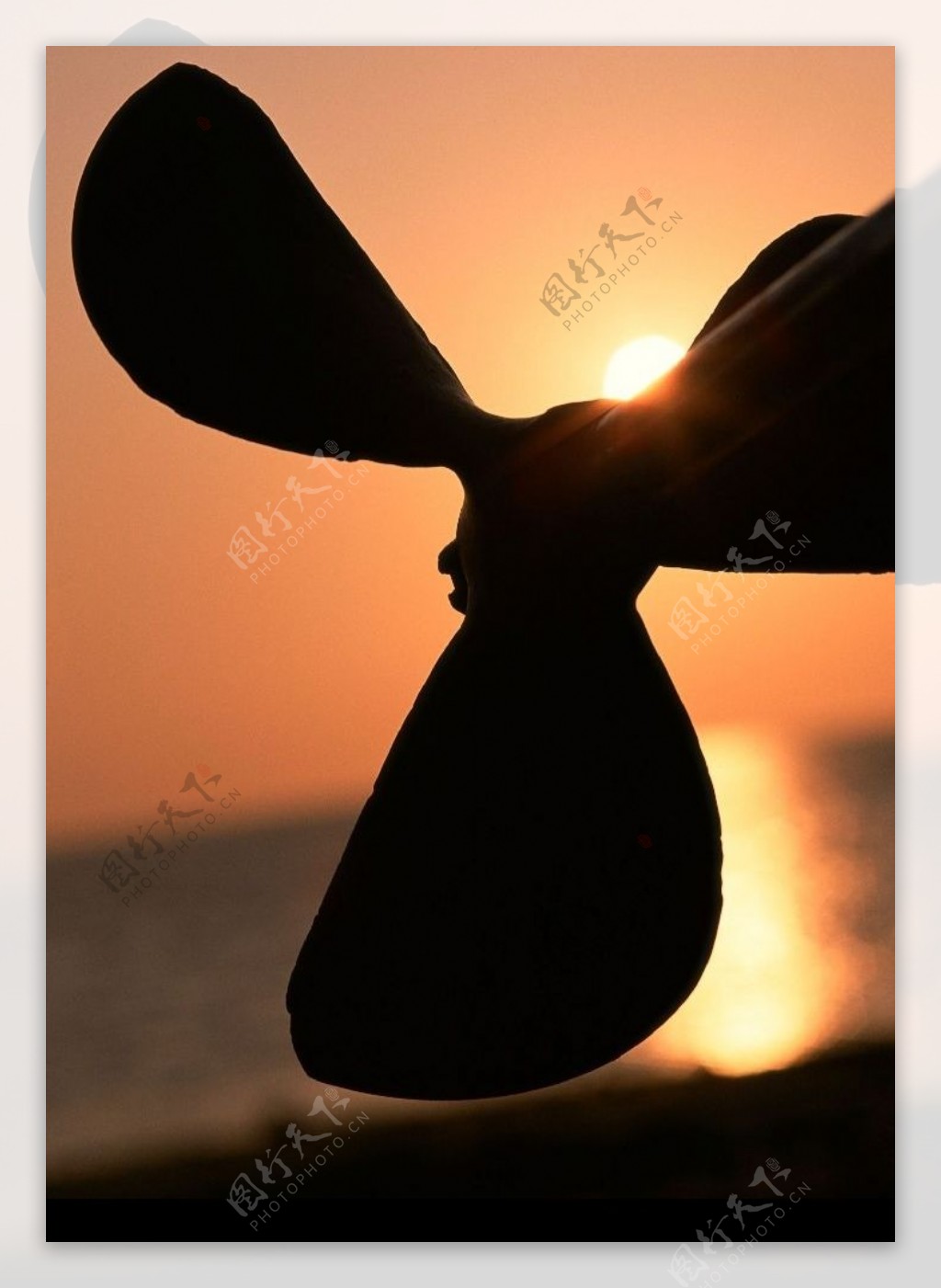 夕阳下螺旋桨图片
