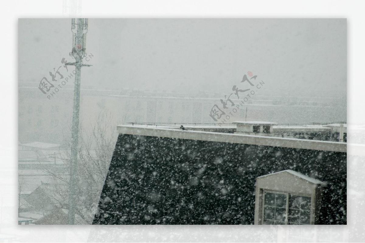 今天下午北京的暴雪图片