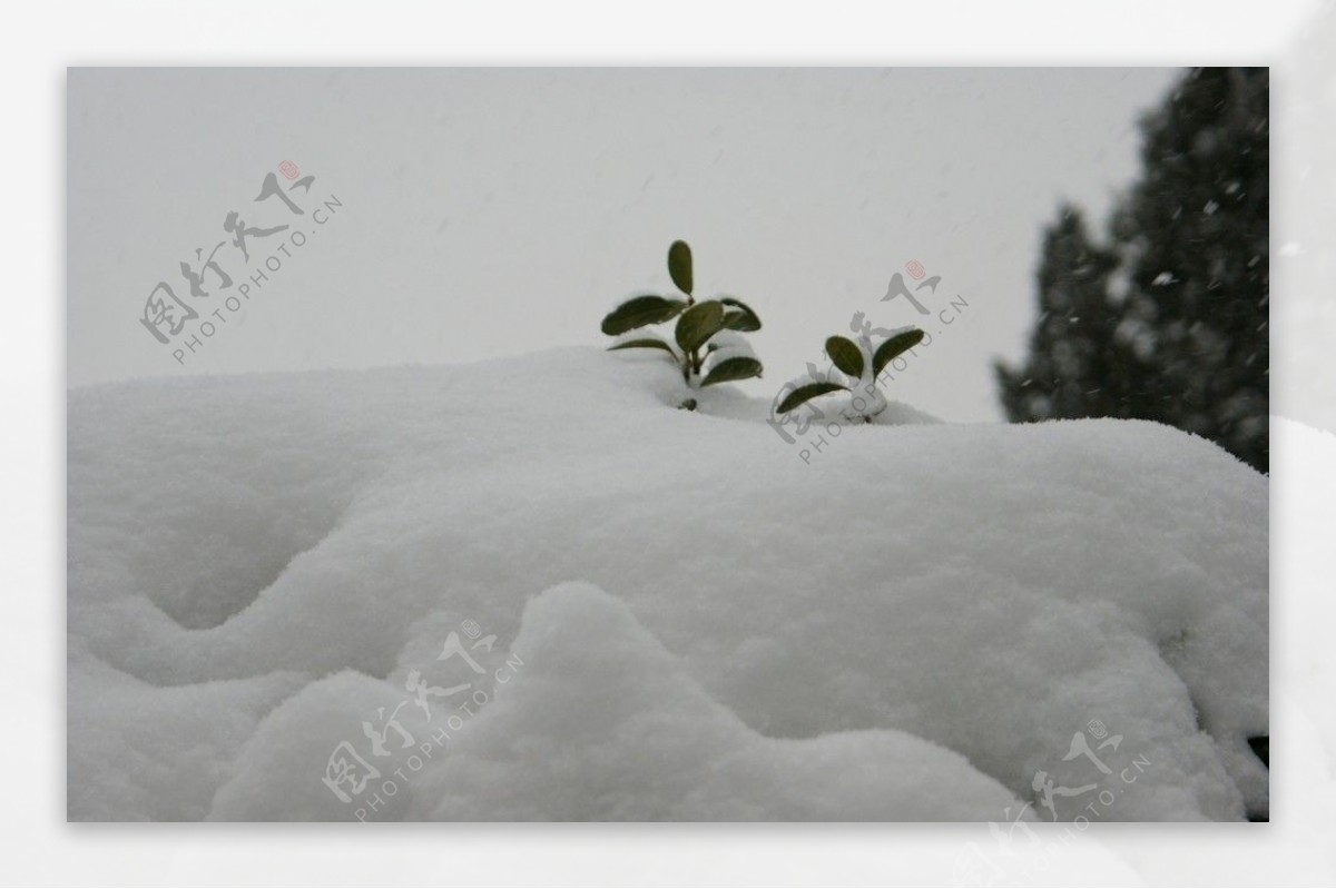 雪景图片