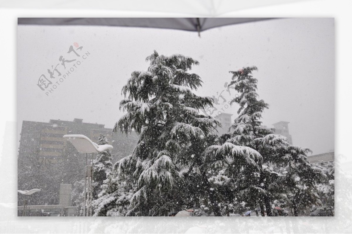 北京师范大学雪景图片