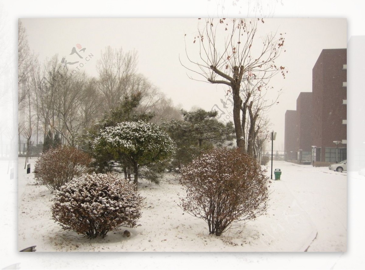 校园雪景图片