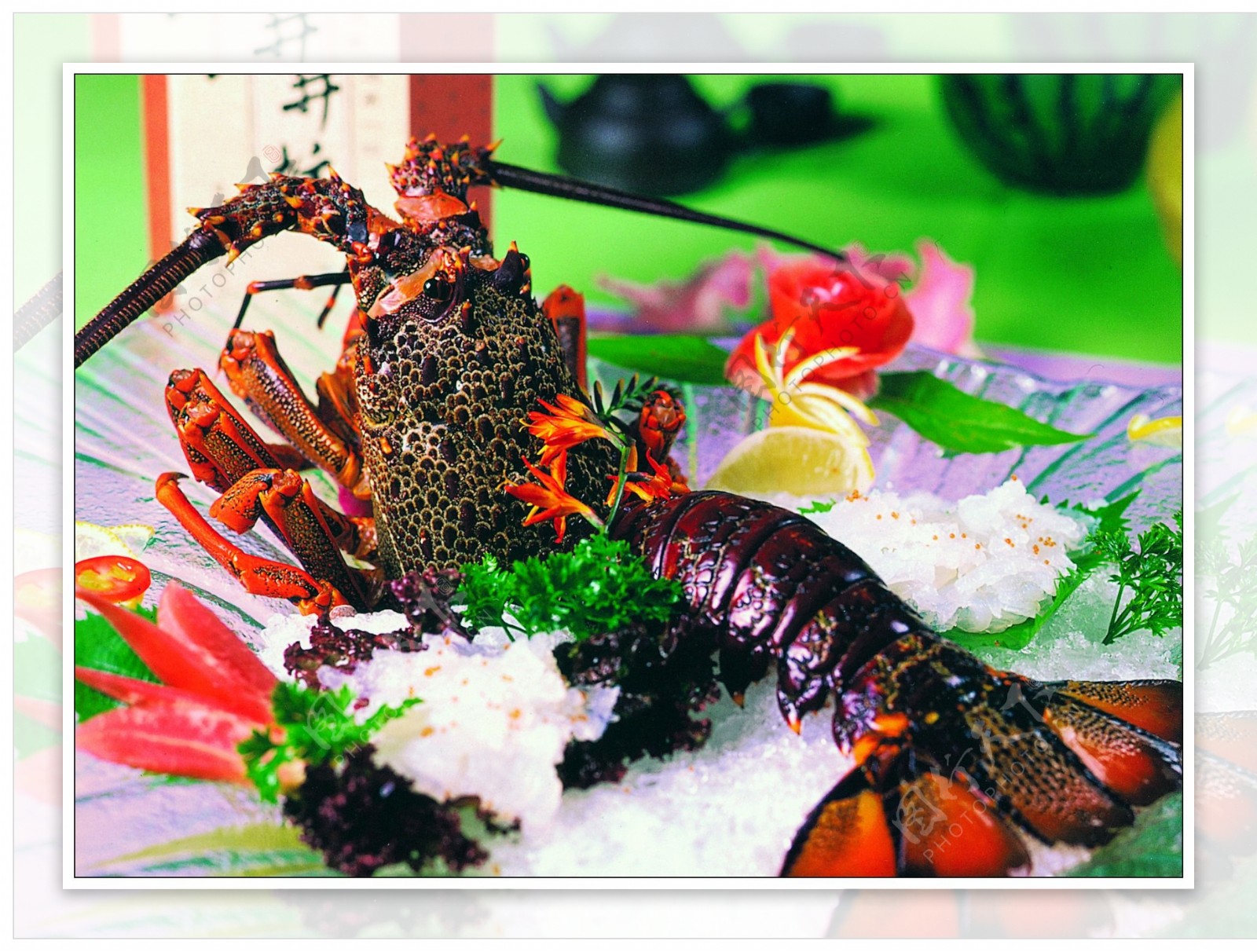 澳洲龙虾刺身图片