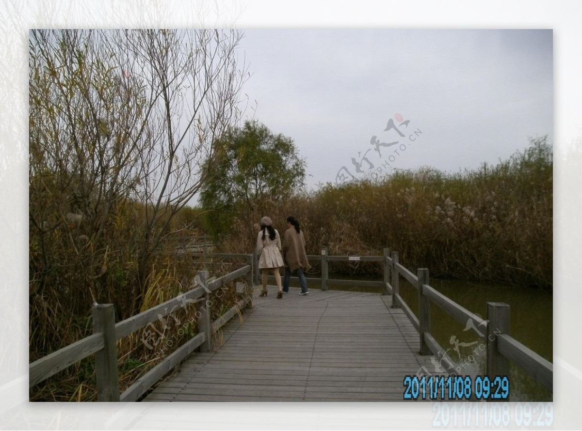 湿地公园木桥非高清图片