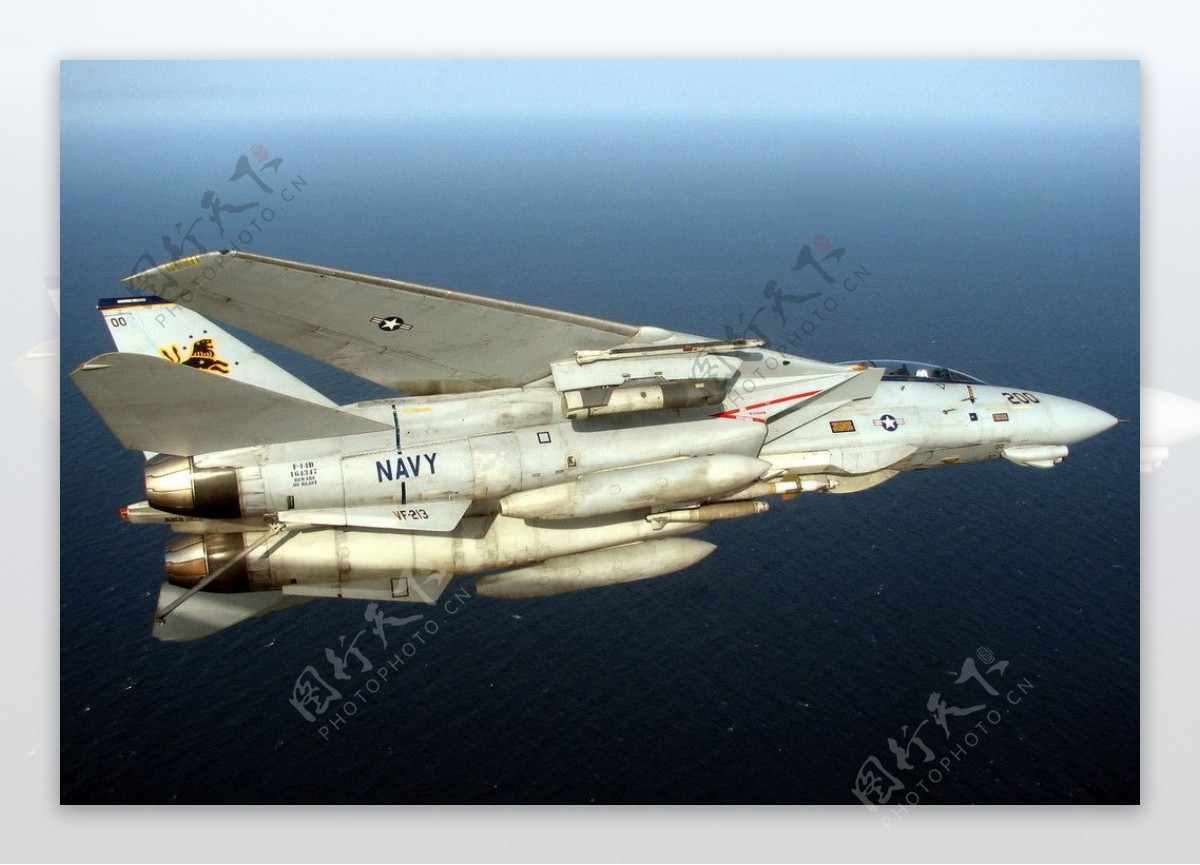 f14雄猫战斗机图片