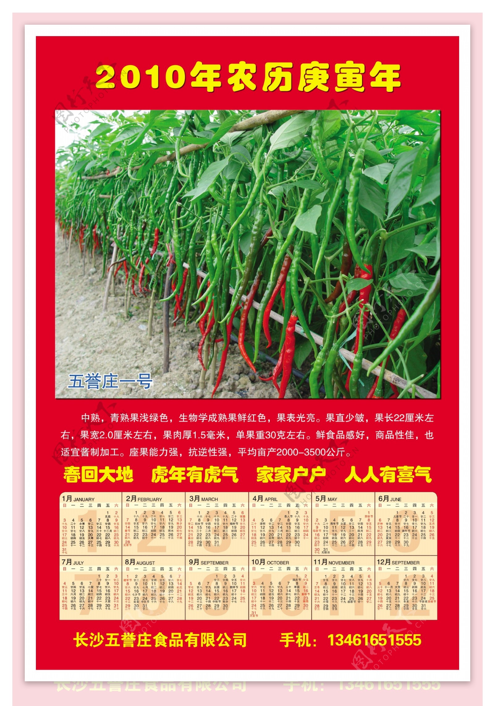辣椒种植日历图片