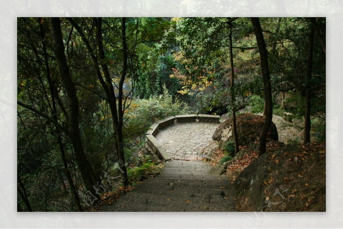 大慈岩秋色绿色走廊秋意渐浓图片