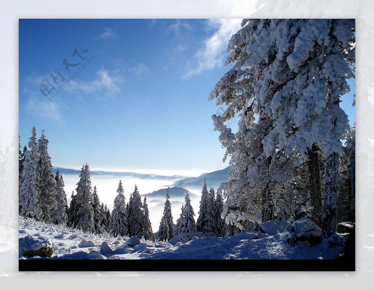 梦幻雪景图片