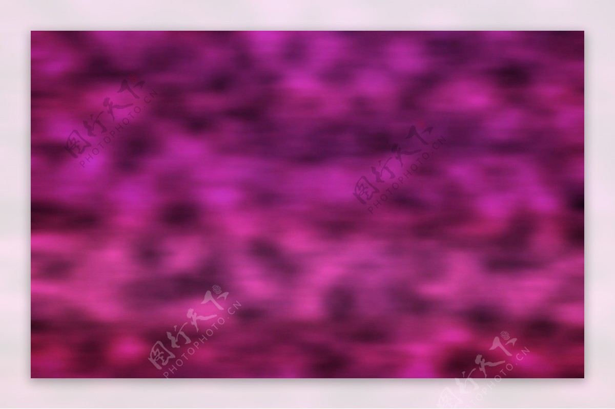 紫色绒絮图片